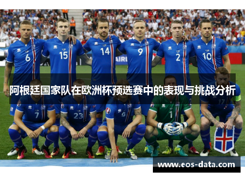 阿根廷国家队在欧洲杯预选赛中的表现与挑战分析