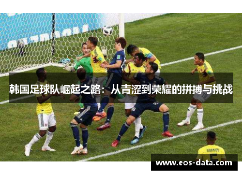 韩国足球队崛起之路：从青涩到荣耀的拼搏与挑战