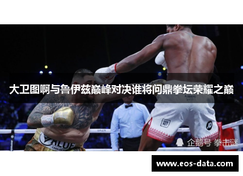 大卫图啊与鲁伊兹巅峰对决谁将问鼎拳坛荣耀之巅