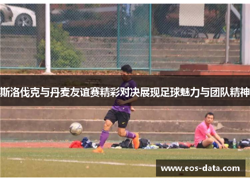 斯洛伐克与丹麦友谊赛精彩对决展现足球魅力与团队精神